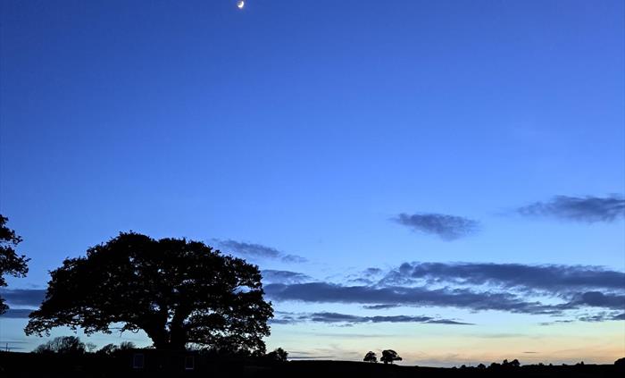 Night sky
